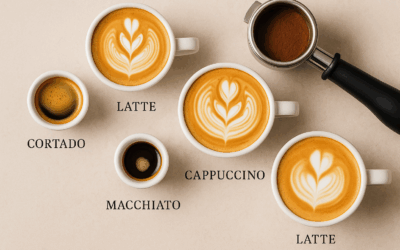 The Ultimate Guide to Types of Espresso Drinks: From Ristretto to Flat White